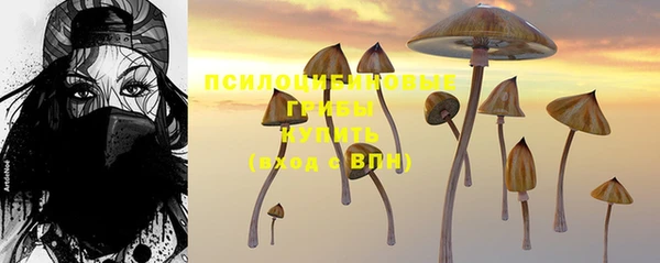 тгк Алексеевка