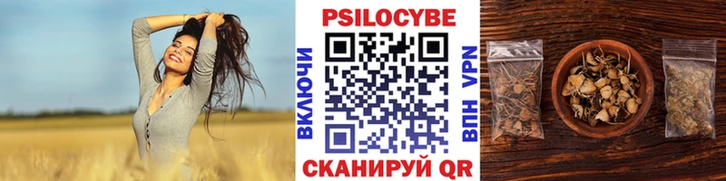 Псилоцибиновые грибы мухоморы Пыталово